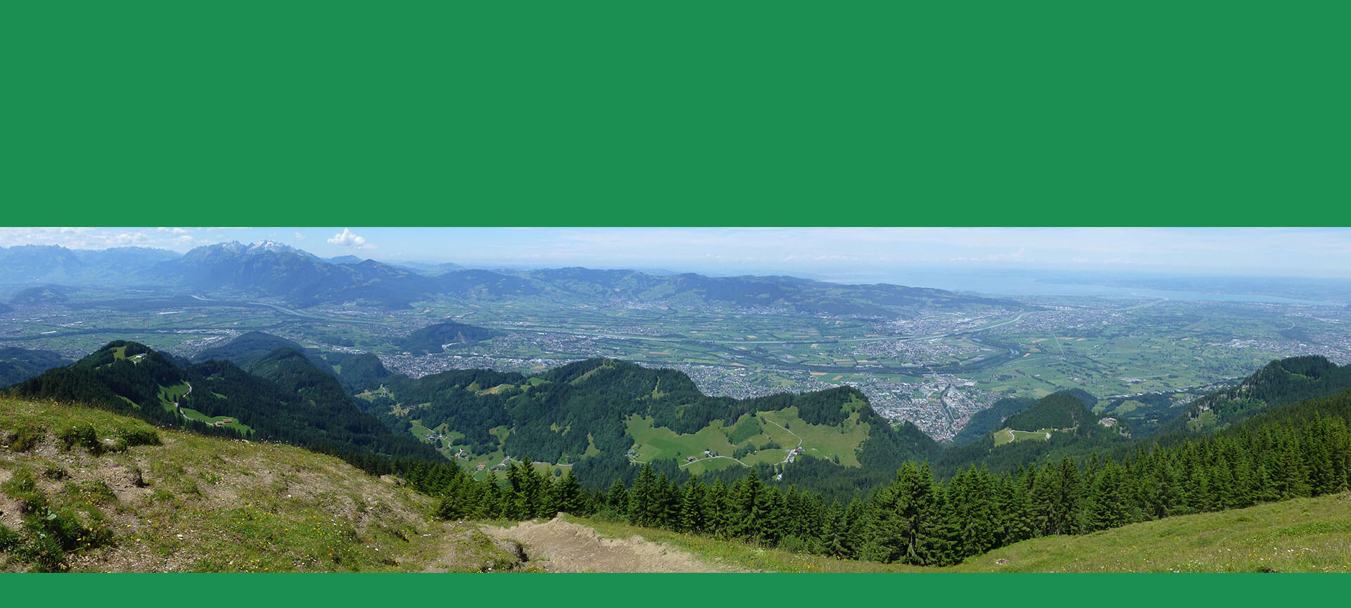 林業(yè)巡檢系統(tǒng)